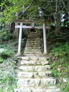 「トトロの森」 を彷彿させる鎌倉神社　