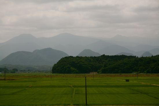 新幹線の車窓から観た山田んぼ