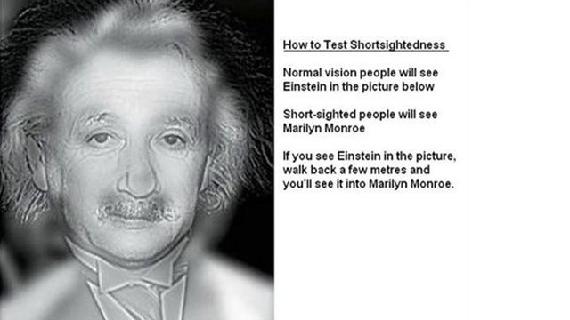 視力がよければアインシュタイン、悪ければマリリン・モンローに見える画像