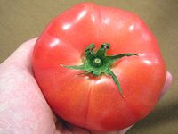 このようなトマトがオススメ