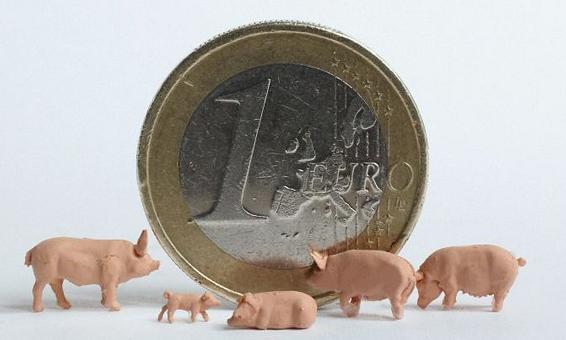 Euro Pigs