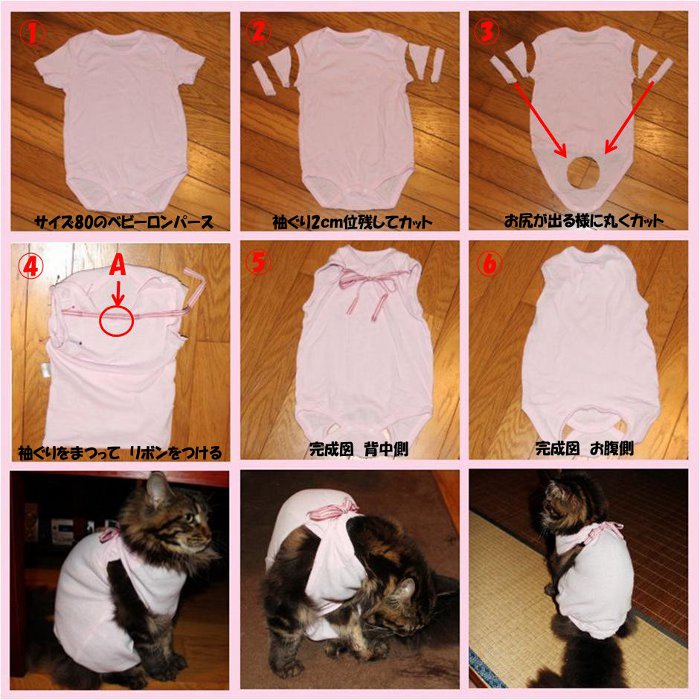 角度 スカーフ 再生的 猫 の 術 後 服 の 作り方 Sln Jp