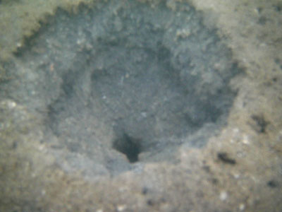 海底の穴