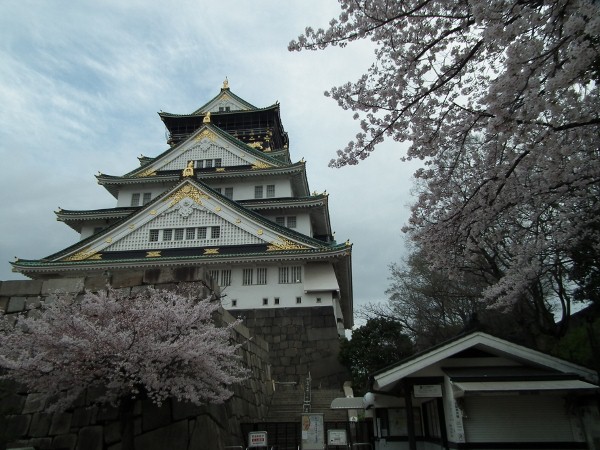 大坂城と桜